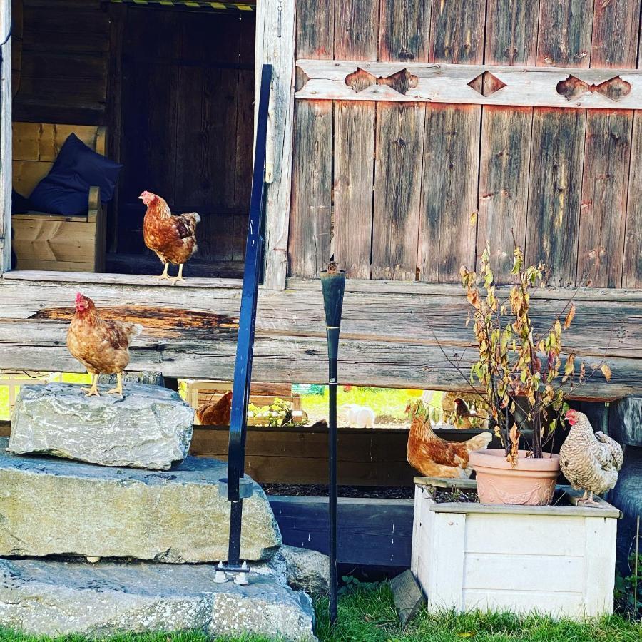 Apartament Hesla Farm Gol Zewnętrze zdjęcie