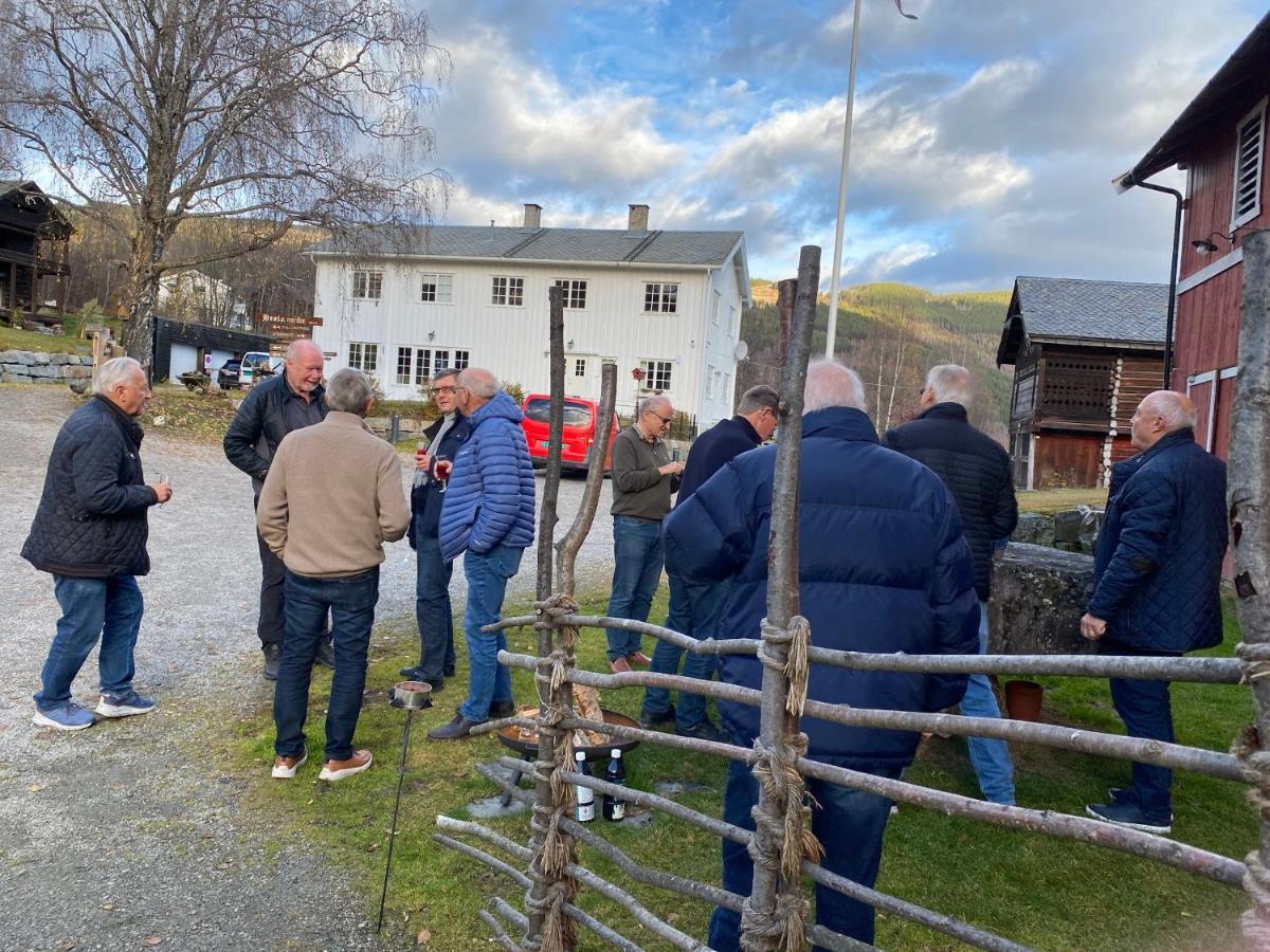 Apartament Hesla Farm Gol Zewnętrze zdjęcie