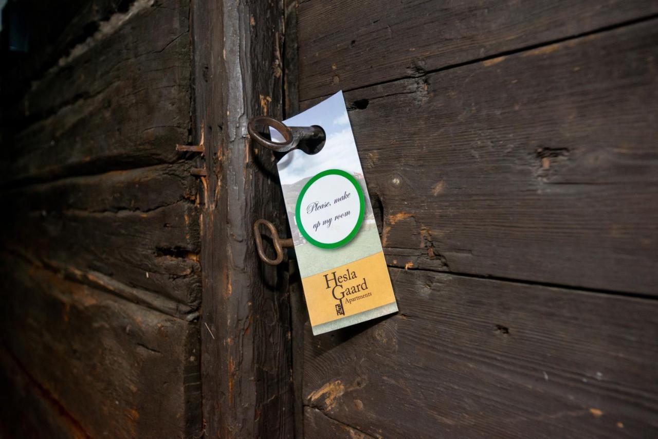 Apartament Hesla Farm Gol Zewnętrze zdjęcie