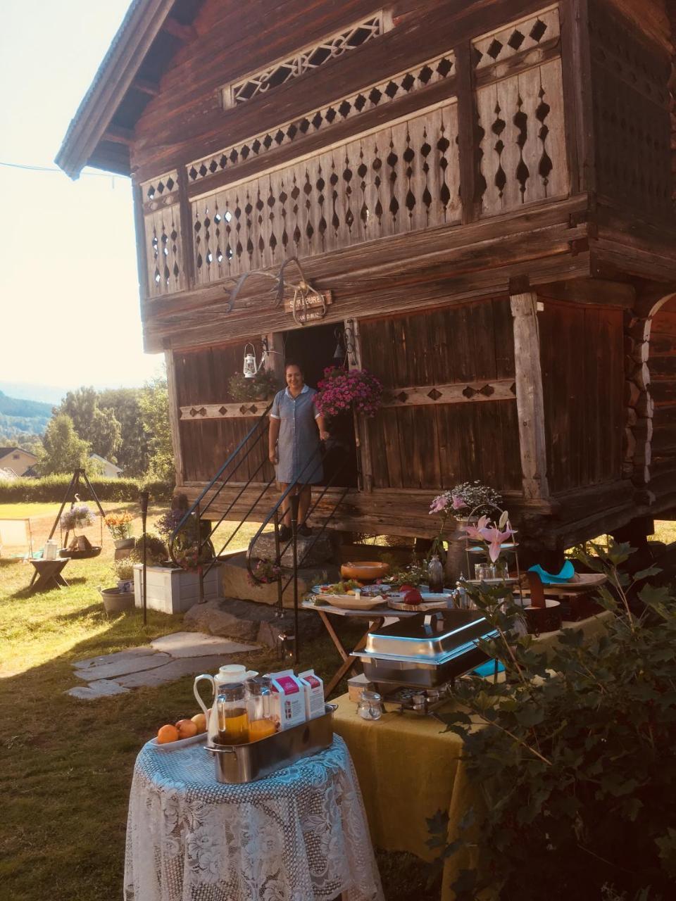 Apartament Hesla Farm Gol Zewnętrze zdjęcie